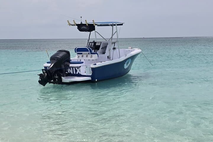 Nassau Private Boat Charter: Rose Island Snorkel, Pearl Reef & Swimming Pigs Day Cruise photo 5