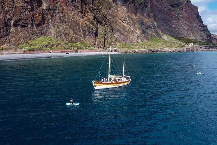 Sail with Dolphins: 3-Hour Whale & Dolphin Watching from Funchal photo 3
