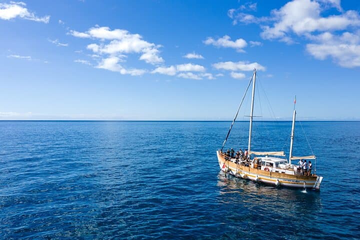 Sail with Dolphins: 3-Hour Whale & Dolphin Watching from Funchal