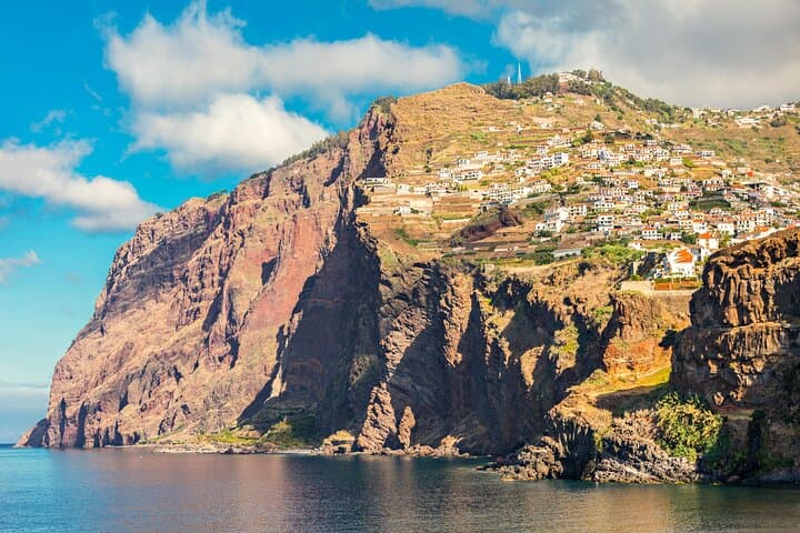 Sail with Dolphins: 3-Hour Whale & Dolphin Watching from Funchal photo 5