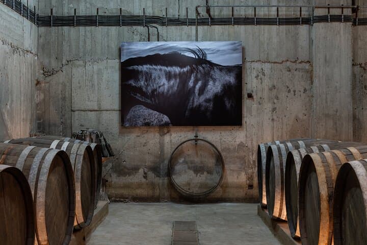 Paros Island Wine Tasting Adventure: Core Flavours Barrel-Cellar Experience photo 4