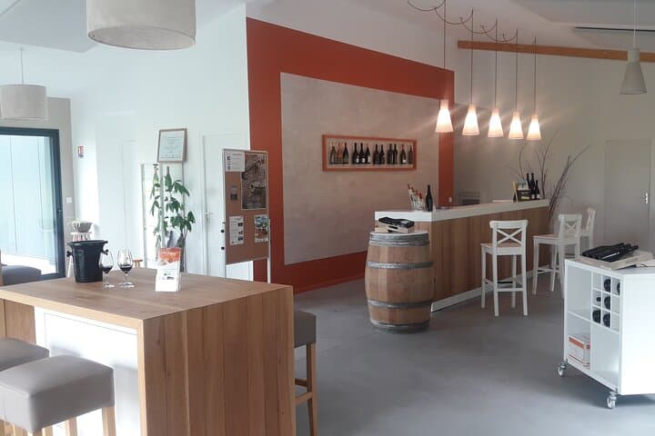 Sauvignon & Gamay Walk: Organic Touraine Vineyard Visit and Tasting photo 5