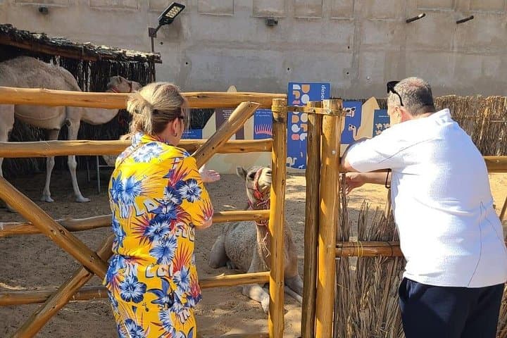 Old and New Dubai: Half-Day Private City Tour with Burj Khalifa Option photo 3