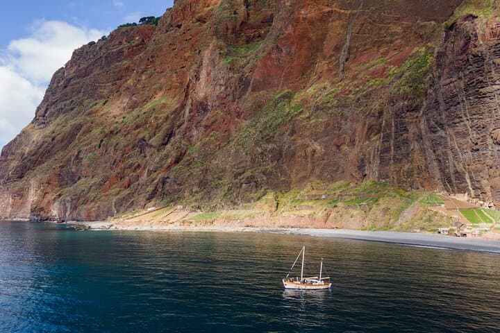 Sail with Dolphins: 3-Hour Whale & Dolphin Watching from Funchal photo 2