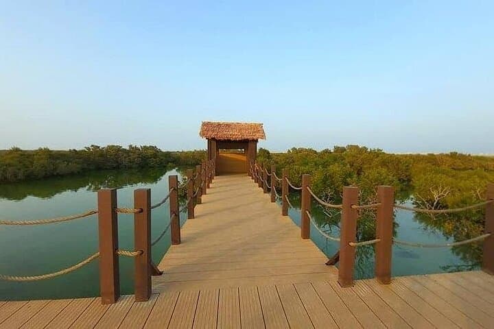 North Qatar Day Tour: Al Zubarah Fort, Purple Island & Al Thakhira Mangroves photo 5