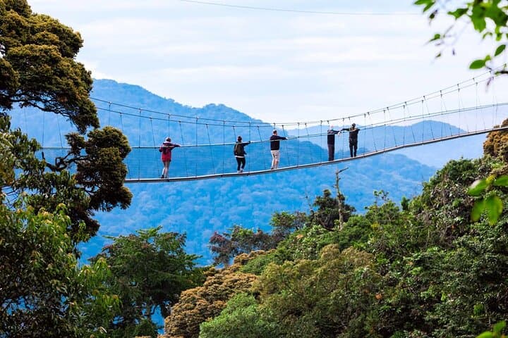 Nyungwe Forest Zipline & Canopy Walkway — East Africa's Longest Zipline photo 2
