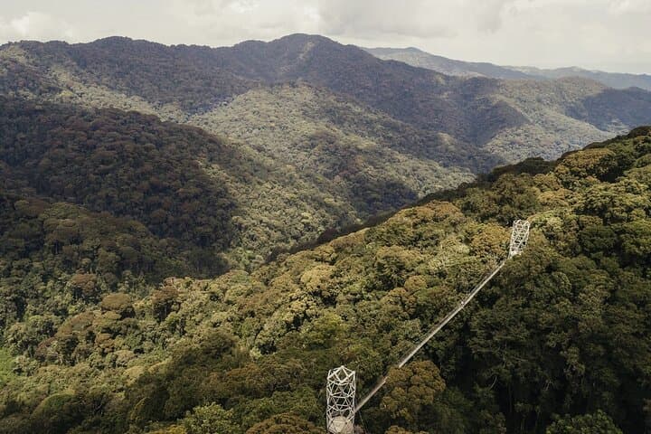 Nyungwe Forest Zipline & Canopy Walkway — East Africa's Longest Zipline photo 3