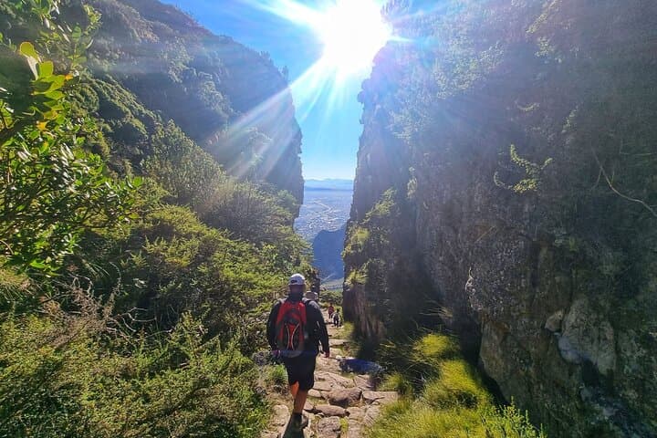 Abseil Table Mountain: Platteklip Gorge Hike + 112m Descent
