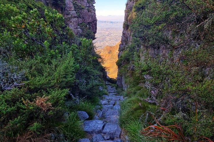 Abseil Table Mountain: Platteklip Gorge Hike + 112m Descent photo 4