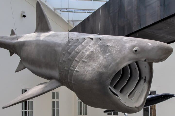 Zagreb Science & VR Museum Walking Tour — Technical Museum, Natural History, Planetarium