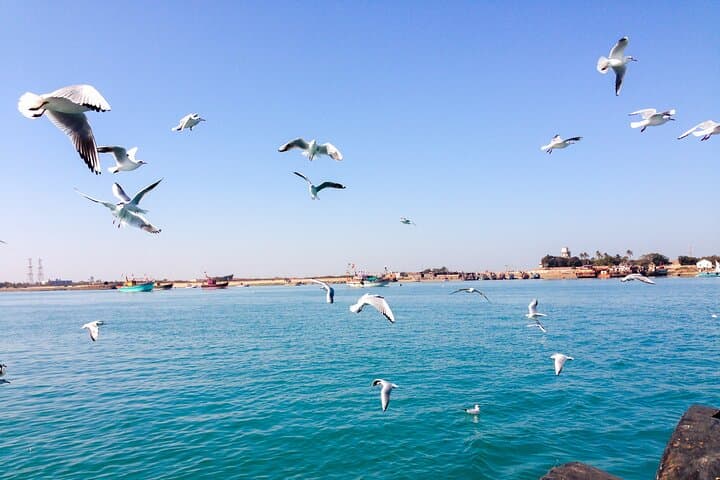4-Day Private Somnath & Dwarka Spiritual Circuit: Temples, Coastline and Culture photo 4