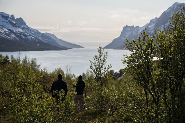 Tromsø Fjord Tour to Sommarøy in Spanish — Midnight Sun & Arctic Culture photo 3