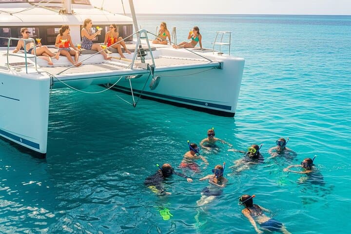 Miami to Key West Dolphin Watch and Reef Snorkel Day Trip photo 2