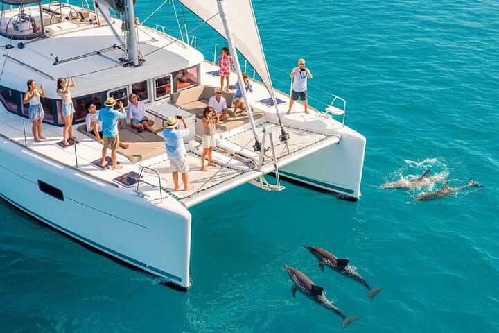 Miami to Key West Dolphin Watch and Reef Snorkel Day Trip