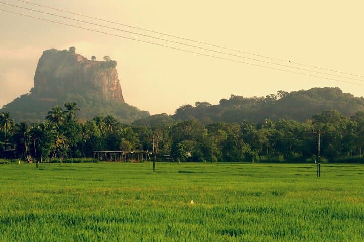 7-Day Guided Sri Lanka Discovery: Sigiriya, Kandy, Nuwara Eliya & Colombo photo 4