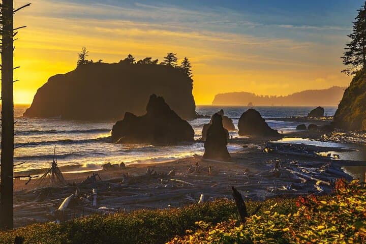 Seattle to Hoh Rainforest, Ruby Beach & Olympic National Park Day Trip photo 5