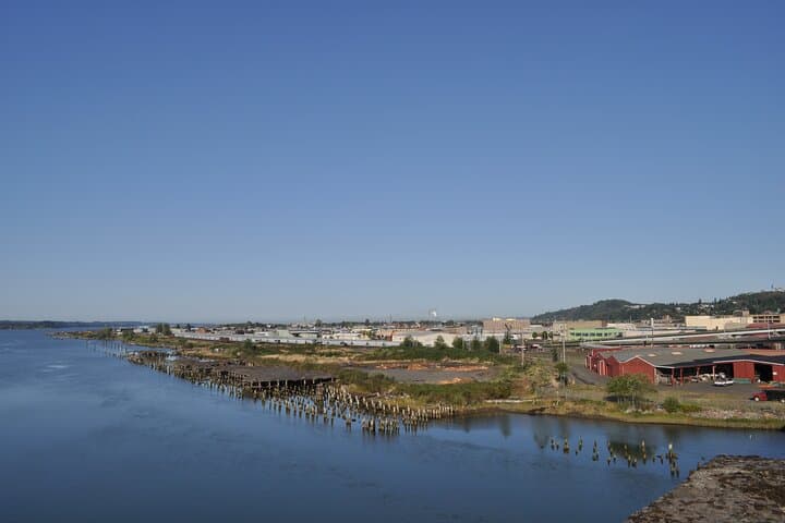 Seattle to Hoh Rainforest, Ruby Beach & Olympic National Park Day Trip photo 6