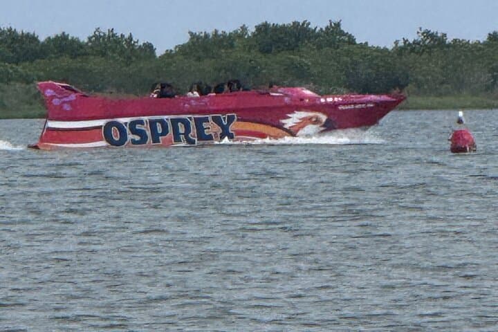 Osprey Jet Boat Ride in Assawoman Bay — High-Speed Spins, Ospreys & Dolphin Sightings photo 3