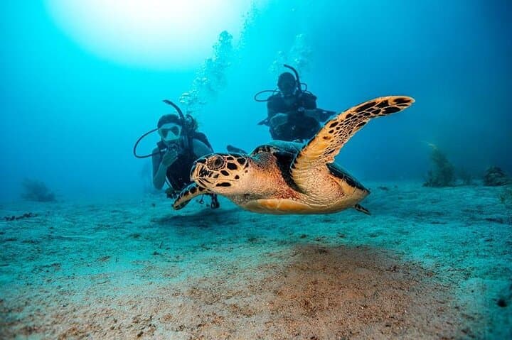 Búzios Shore Dive: Beginner Scuba & Snorkel at João Fernandes Reef