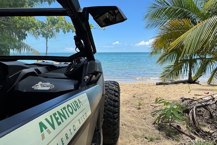 Añasco Bunny Fever: West-Coast Waterfall, Mirador & Secret Beach Tour photo 4