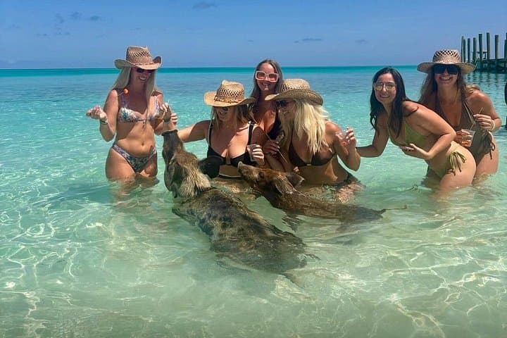 Rose Island Swimming Pigs & Beach Snorkeling — Nassau Day Trip photo 3
