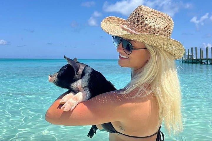 Rose Island Swimming Pigs & Beach Snorkeling — Nassau Day Trip photo 1