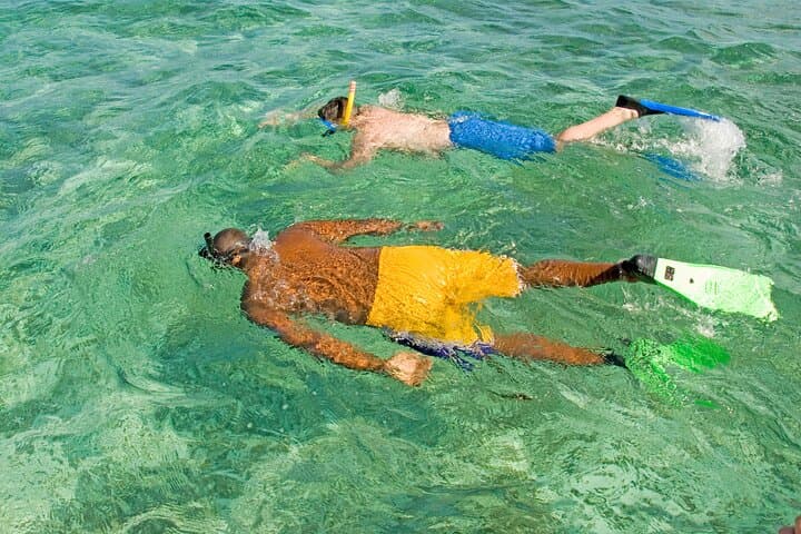 Rose Island Swimming Pigs & Beach Snorkeling: Half-Day from Nassau photo 4