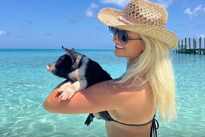 Swim with Pigs and Snorkel Rose Island: Nassau Day Trip