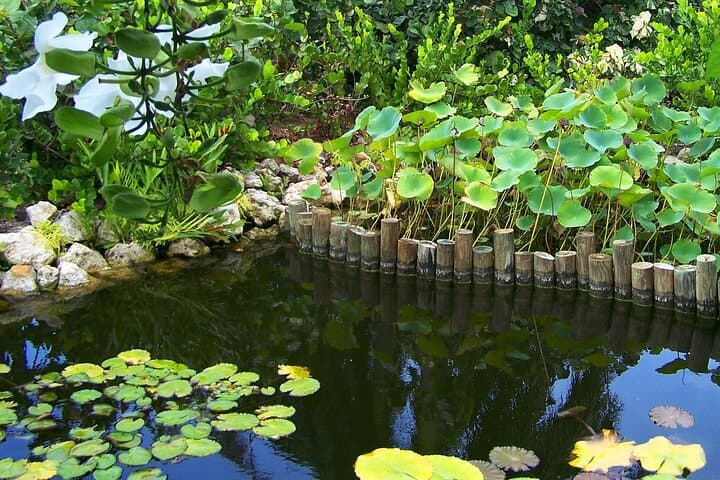 Cayman Crystal Caves & Pedro St James: Day Tour from George Town photo 6