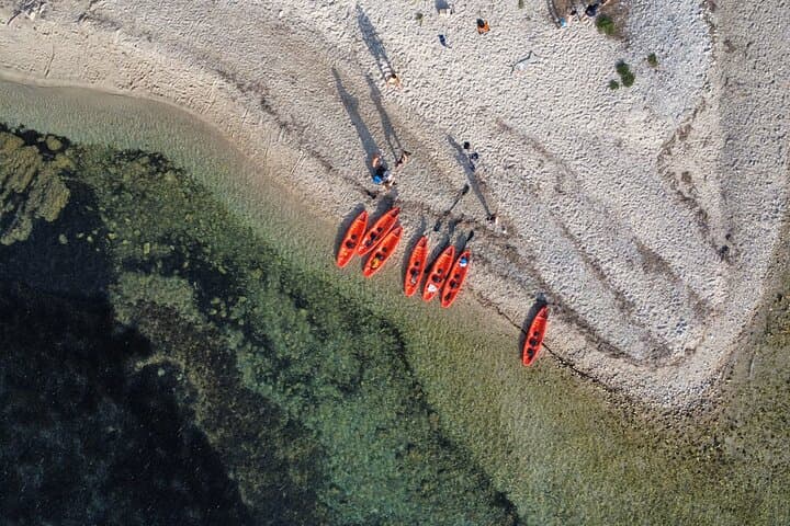 Golfo Aranci Kayak Tour: Dolphin Watching & Aperitif in Sardinia