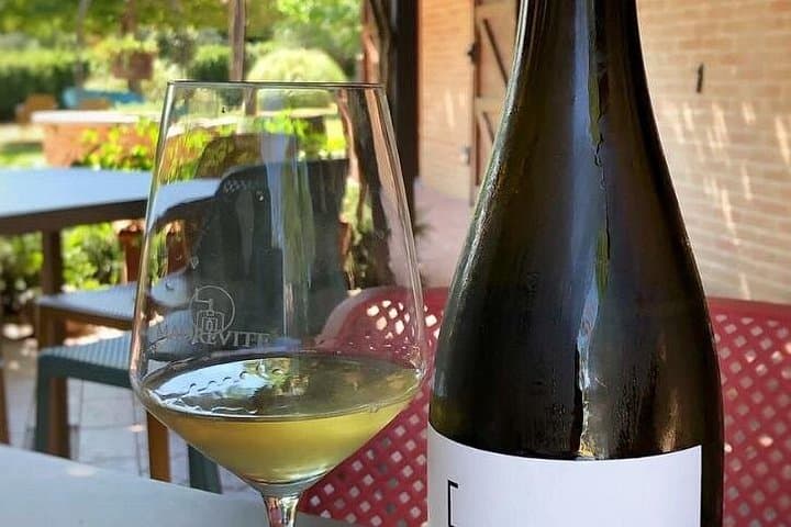 Taste of Umbria: Private Wine Tasting on Lake Trasimeno photo 2