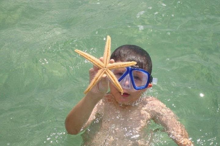Dolphin and Snorkeling Tour in Panama City — St. Andrews & Shell Island photo 4