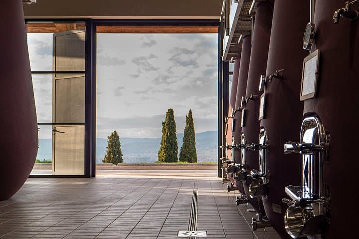 Taste of Umbria: Private Wine Tasting on Lake Trasimeno photo 3