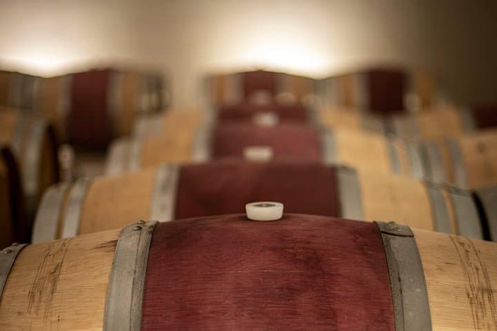 Taste of Umbria: Private Wine Tasting on Lake Trasimeno photo 4