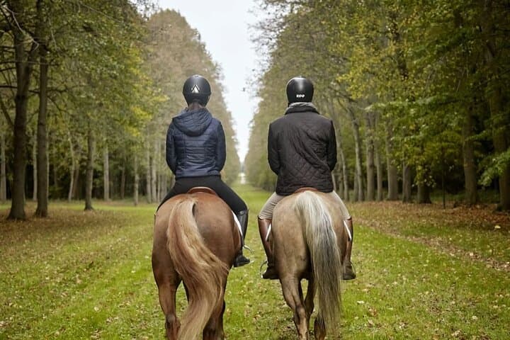Private Horse Tour in Versailles Gardens: 2-Hour Ride Through Château Park photo 4