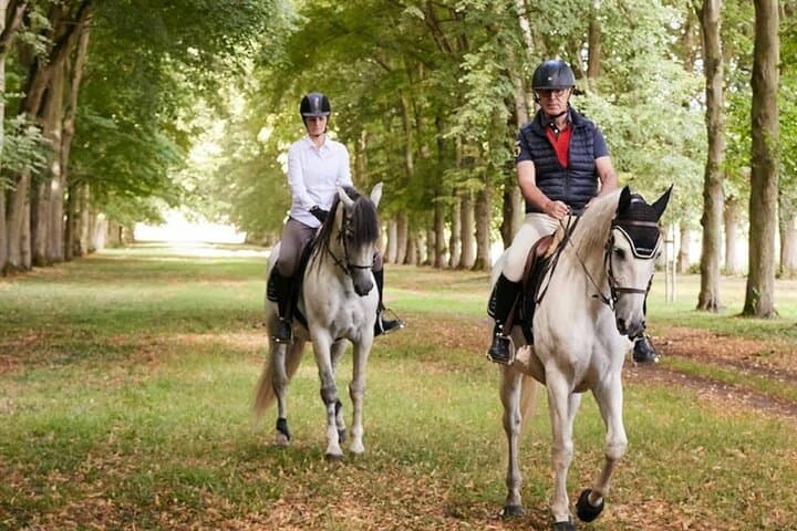 Private Horse Tour in Versailles Gardens: 2-Hour Ride Through Château Park photo 3