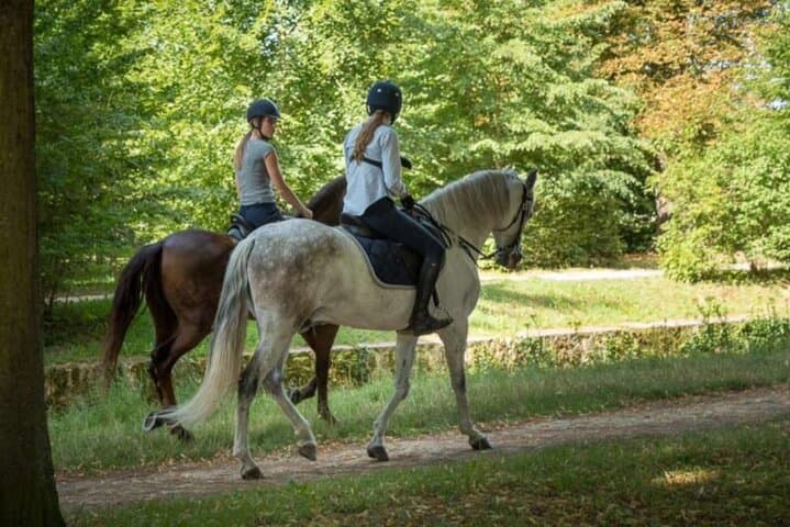 Private Horse Tour in Versailles Gardens: 2-Hour Ride Through Château Park photo 2