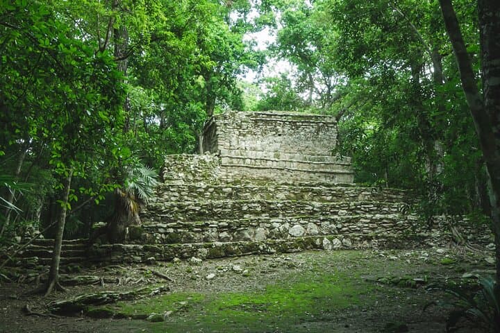 Climb Coba's Nohoch Mul Pyramid and Swim Sacred Cenotes photo 4