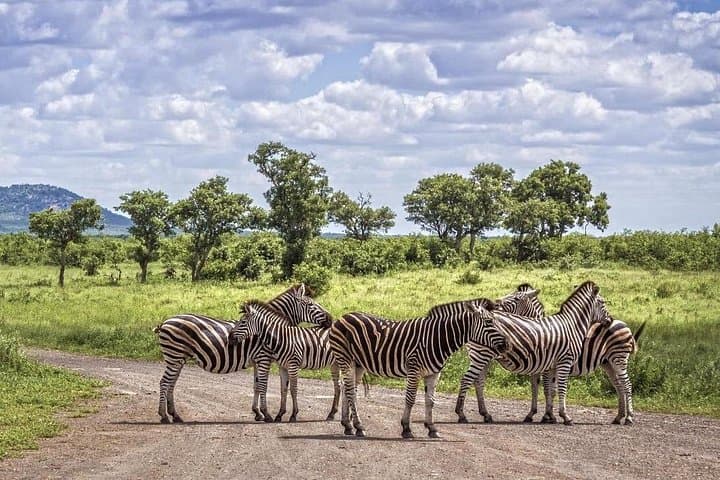 4-Day Kruger National Park & Panorama Route Safari from Johannesburg photo 1