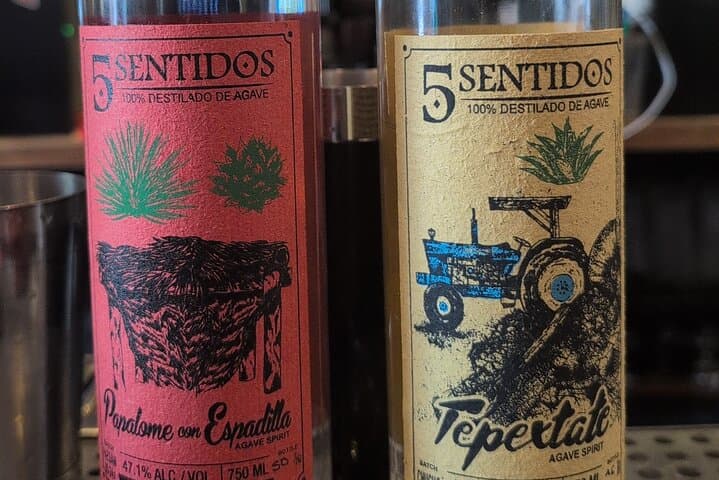 Tequila and Mezcal Tasting in Washington DC — Agave Basics & Guided Flight photo 3