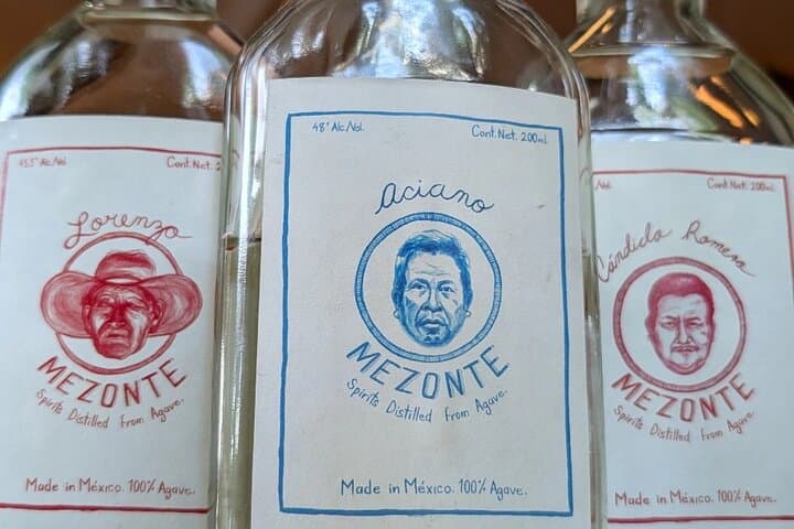 Tequila and Mezcal Tasting in Washington DC — Agave Basics & Guided Flight photo 4