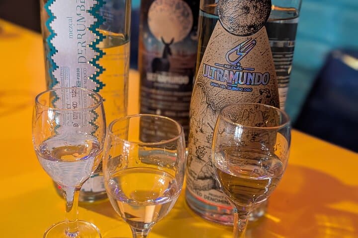 Tequila and Mezcal Tasting in Washington DC — Agave Basics & Guided Flight photo 5