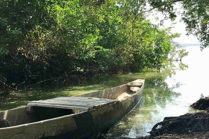 Cartagena Mangrove Tour: Canoe Through La Boquilla's Afro-Caribbean Fishing Village photo 5