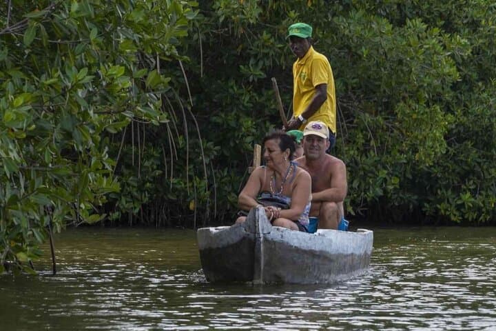 Cartagena Mangrove Tour: Canoe Through La Boquilla's Afro-Caribbean Fishing Village photo 4