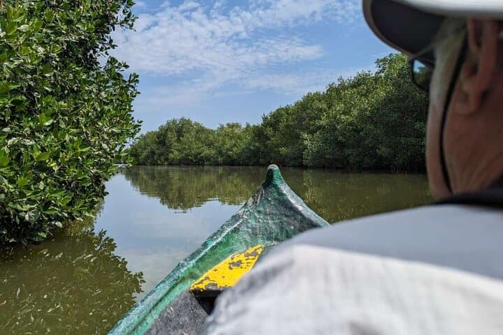 Cartagena Mangrove Tour: Canoe Through La Boquilla's Afro-Caribbean Fishing Village photo 2