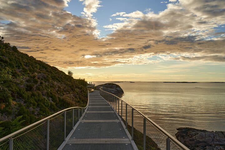 Sydney Coastal Highlights Half-Day Tour — Bondi, Mrs Macquarie's Chair & The Gap photo 6