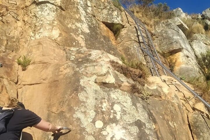 Lion's Head Sunrise Hike — Cape Town Central Tour with Hotel Pickup photo 2