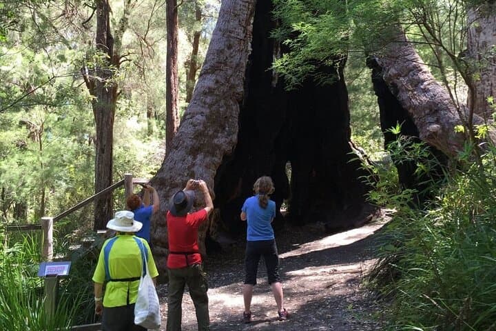 Southern Experience 3-Day Tour: Wave Rock, Valley of the Giants & Albany photo 2