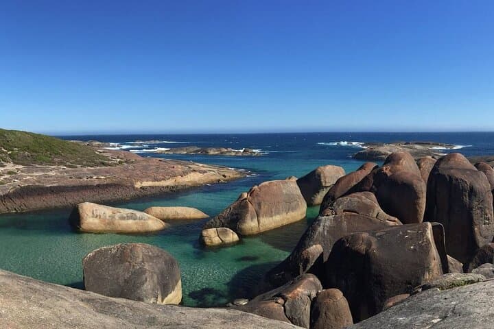 Southern Experience 3-Day Tour: Wave Rock, Valley of the Giants & Albany photo 3