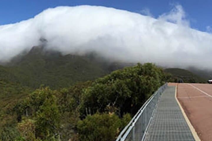 Southern Experience 3-Day Tour: Wave Rock, Valley of the Giants & Albany photo 5